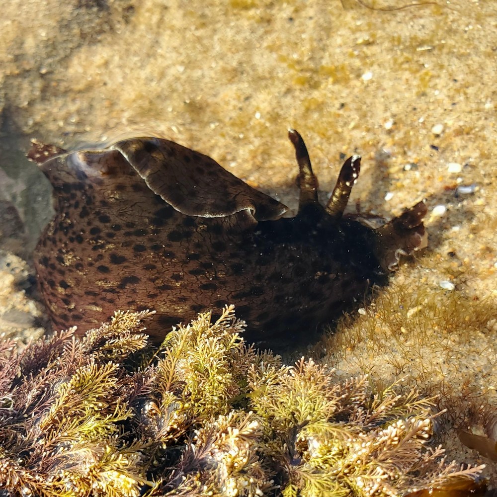 Meet your Posher, Kerstin